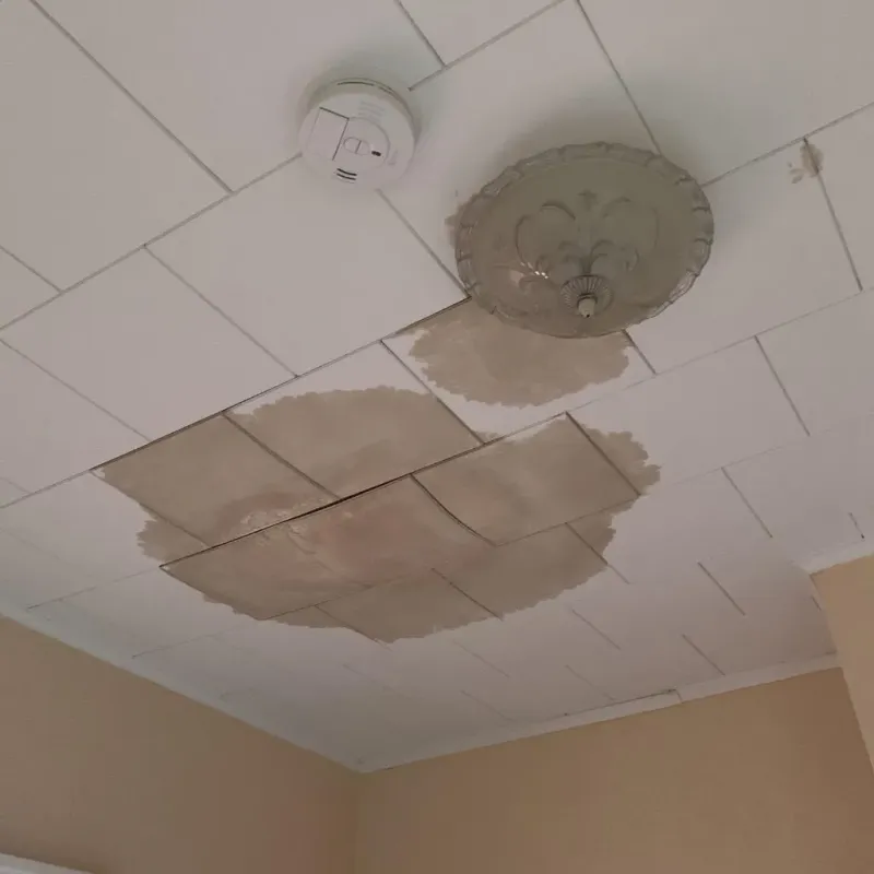 Ceiling Water Damage Repair in Collin County, TX
