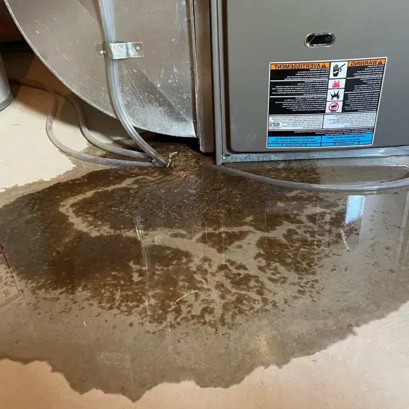 Pipe Burst and Leak Restoration in Collin County, TX