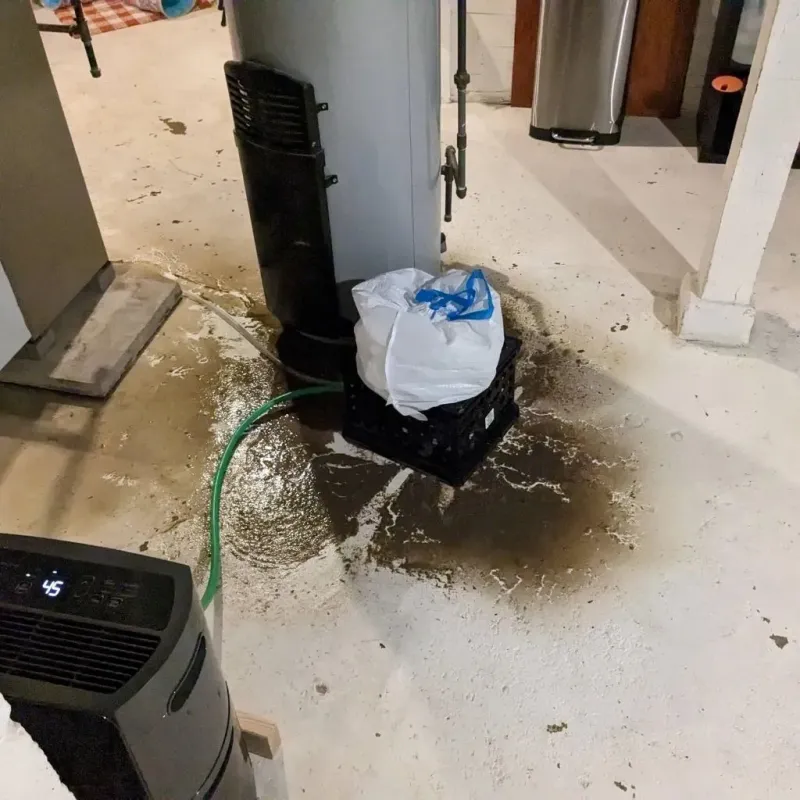Sewage Backup Cleanup Service in Collin County, TX